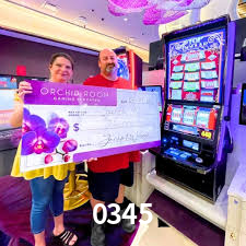 VIP Casino 0345